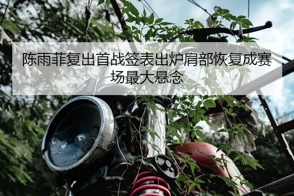 陈雨菲复出首战签表出炉肩部恢复成赛场最大悬念 | WANMEISPORTS